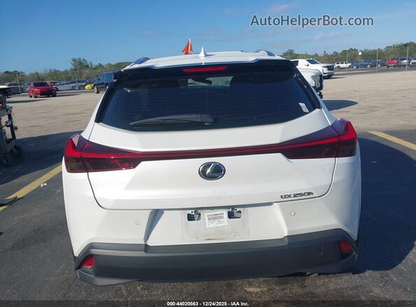 JTHP6JBH5R2192019 2024 LEXUS UX 250H White 