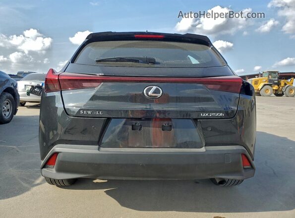 JTHP6JBH7P2152747 2023 LEXUS UX Черный Вид сзади