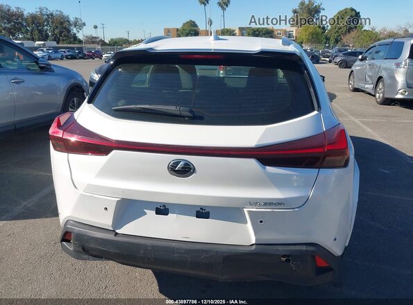 JTHP6JBH7R2192331 2024 LEXUS UX 250H White 
