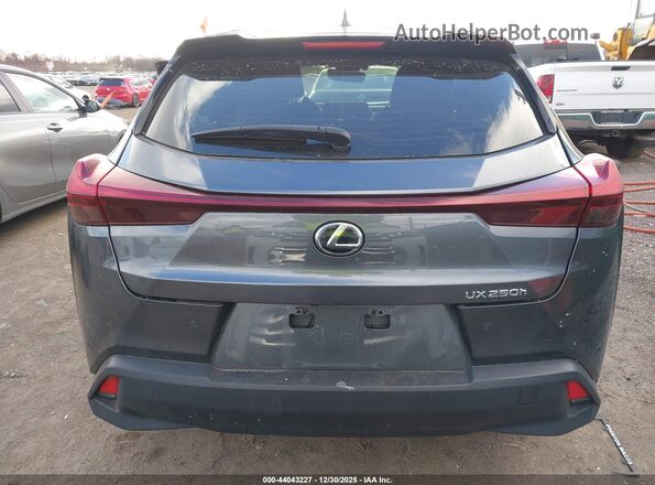 JTHP6JBH8R2192399 2024 LEXUS UX 250H Gray 