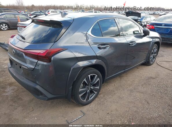 JTHP6JBH8R2192399 2024 LEXUS UX 250H Gray უკანა მარჯვენა