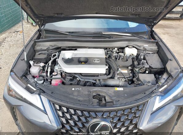 JTHP6JBH8R2192399 2024 LEXUS UX 250H Gray უკანა ხედი