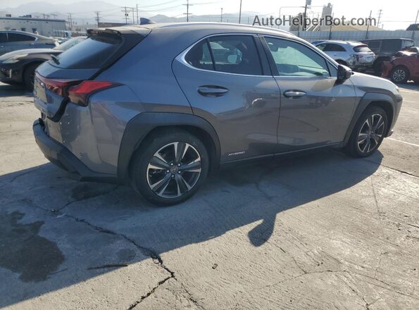 JTHP9JBH1L2024246 2020 LEXUS UX Gray Задня права чверть