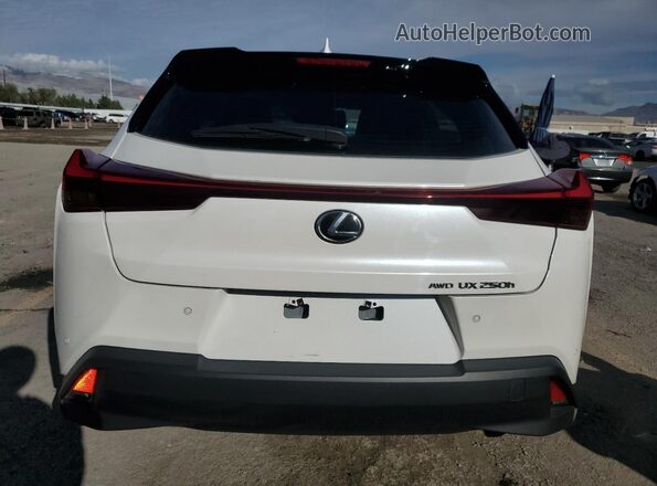 JTHP9JBH2P2070223 2023 LEXUS UX White Widok z tyłu