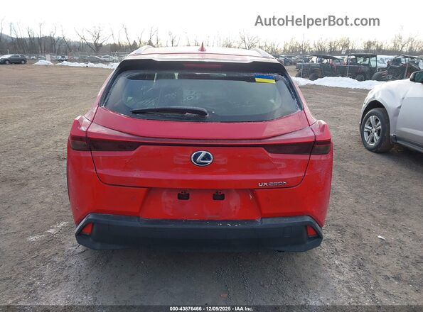 JTHP9JBH5L2029319 2020 LEXUS UX 250H Красный 