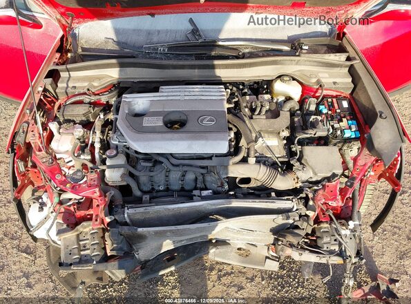 JTHP9JBH5L2029319 2020 LEXUS UX 250H Красный Вид сзади