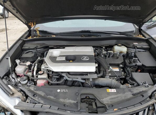 JTHP9JBH5L2032091 2020 LEXUS UX Gray Widok komory silnika