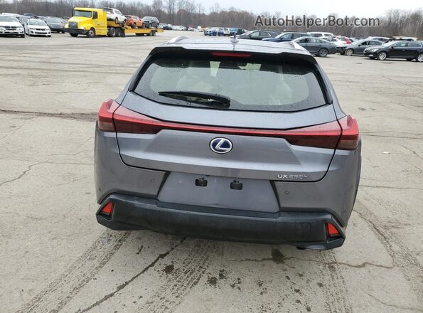 JTHP9JBH5L2032091 2020 LEXUS UX Gray Widok z tyłu