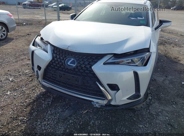 JTHP9JBH8M2042695 2021 LEXUS UX 250H White წინა ხედი