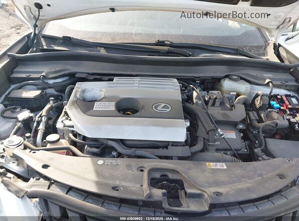 JTHP9JBH8M2042695 2021 LEXUS UX 250H White უკანა ხედი