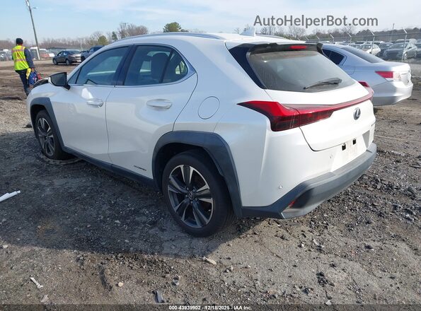 JTHP9JBH8M2042695 2021 LEXUS UX 250H White უკანა მარცხენა