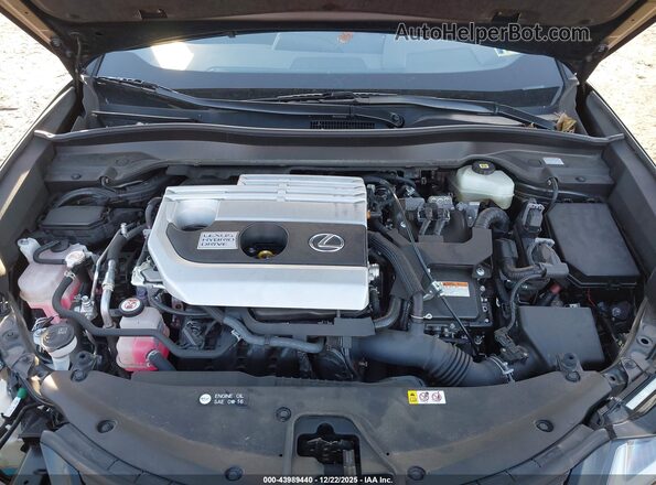 JTHP9JBHXM2038437 2021 LEXUS UX 250H Black Vista trasera