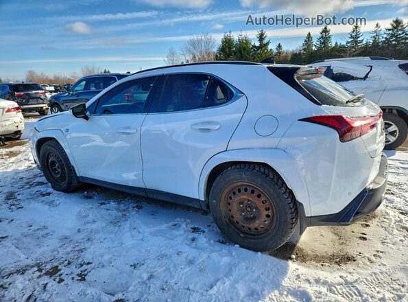 JTHR9JBH2P2066617 2023 LEXUS UX White Задня ліва чверть