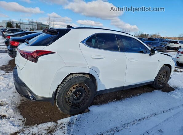 JTHR9JBH2P2066617 2023 LEXUS UX White Задня права чверть