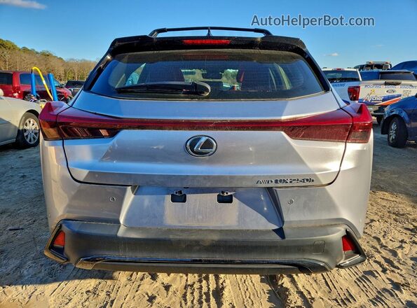 JTHR9JBH3P2065833 2023 LEXUS UX Silver Widok z tyłu