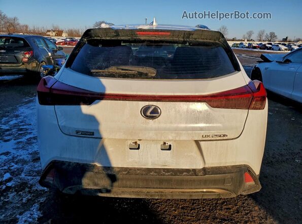 JTHR9JBH5M2037947 2021 LEXUS UX White Вид ззаду