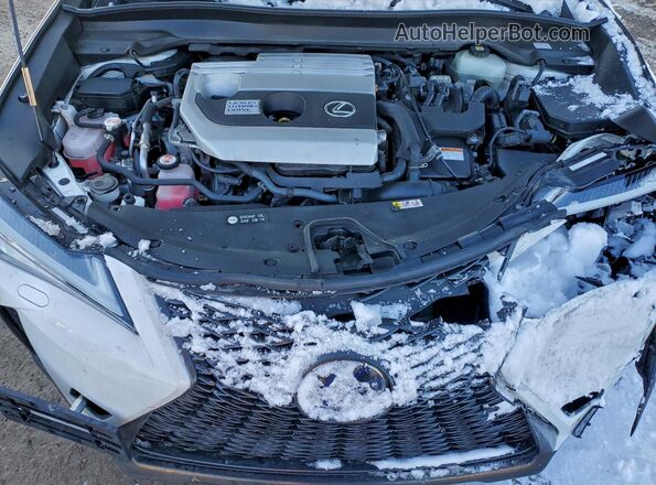 JTHR9JBH5M2037947 2021 LEXUS UX White Вид задньої частини салону
