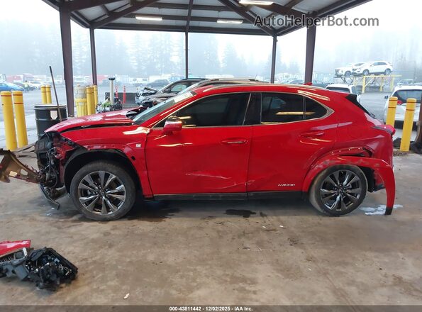 JTHR9JBH8N2062729 2022 LEXUS UX 250H Red Սալոնի 360 աստիճան տեսք