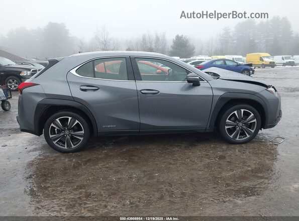 JTHU9JBH4K2014800 2019 LEXUS UX 250H Gray Vista interior trasera