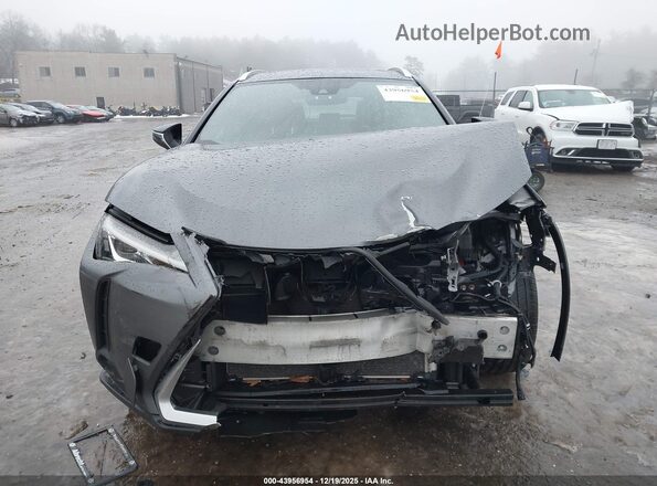 JTHU9JBH4K2014800 2019 LEXUS UX 250H Gray Vista del cuadro de instrumentos