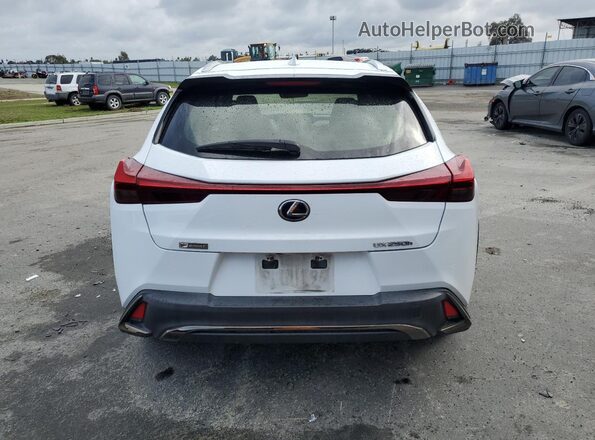 JTHU9JBH6K2010599 2019 LEXUS UX White Rear view