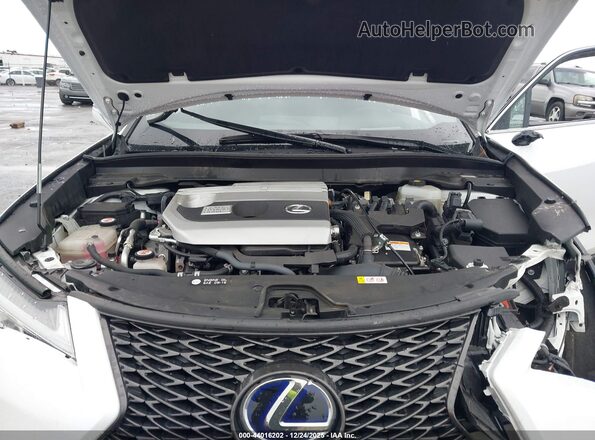 JTHU9JBH6K2011395 2019 LEXUS UX 250H White Rear view