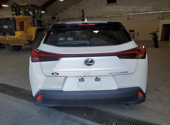 JTHUCJDH4S2002712 2025 LEXUS UX White Rear view
