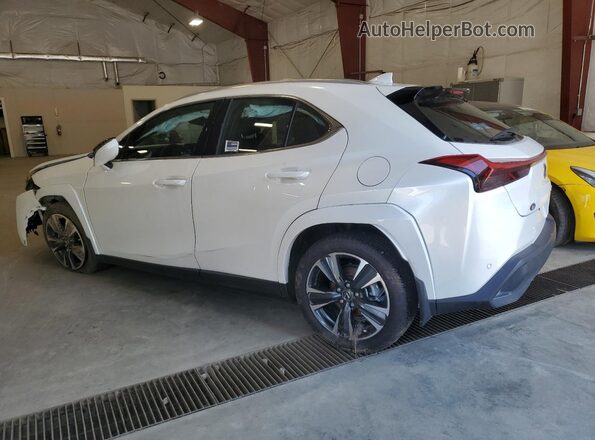 JTHUCJDH4S2002712 2025 LEXUS UX White Rear left