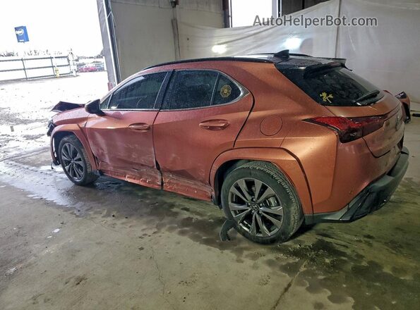 JTHUCJDH7S2003952 2025 LEXUS UX Оранжевый Задняя левая четверть