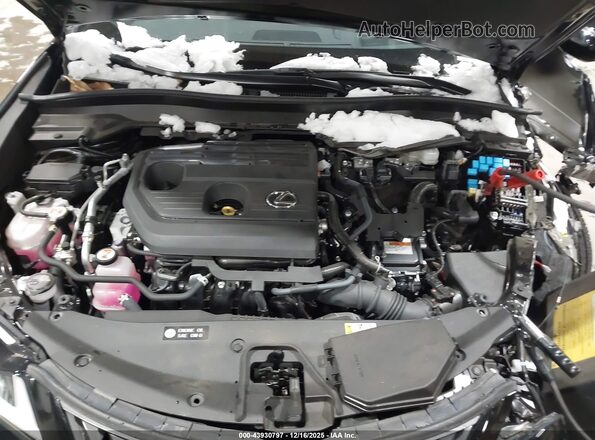 JTHUCJDH9S2006318 2025 LEXUS UX 300H Black Вид ззаду