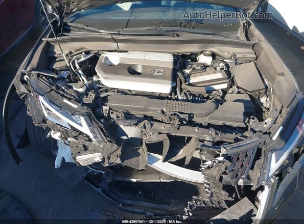 JTHX3JBH0N2049305 2022 LEXUS UX 200 Gray Вид ззаду