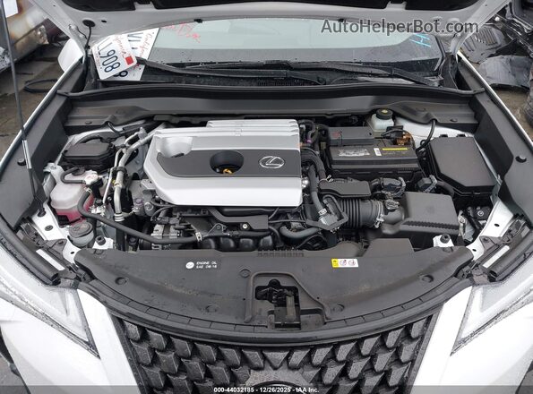 JTHX3JBH4L2031550 2020 LEXUS UX 200 Белый Вид сзади