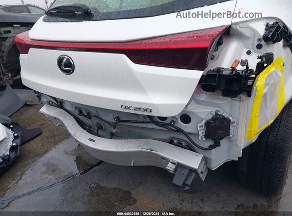 JTHX3JBH4L2031550 2020 LEXUS UX 200 Белый Вид спереди