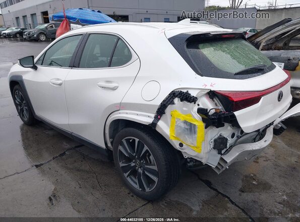 JTHX3JBH4L2031550 2020 LEXUS UX 200 Белый Задняя левая четверть