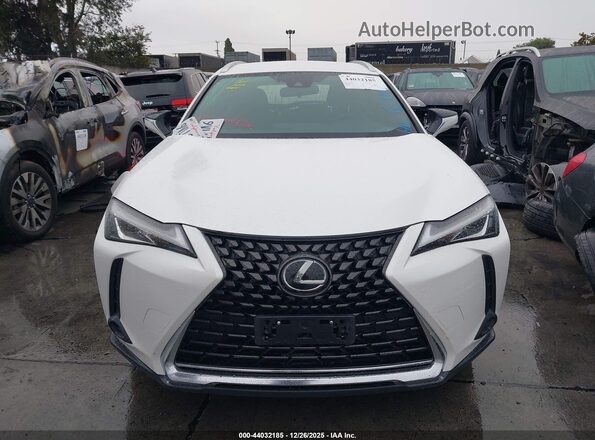 JTHX3JBH4L2031550 2020 LEXUS UX 200 Белый Вид задней части салона