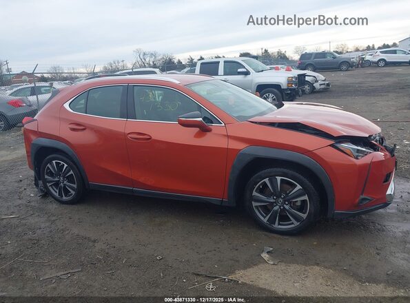 JTHX3JBH9M2033926 2021 LEXUS UX 200 Orange უკანა სალონის ხედი
