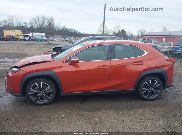 JTHX3JBH9M2033926 2021 LEXUS UX 200 Orange სალონის 360-გრადუსიანი ხედი