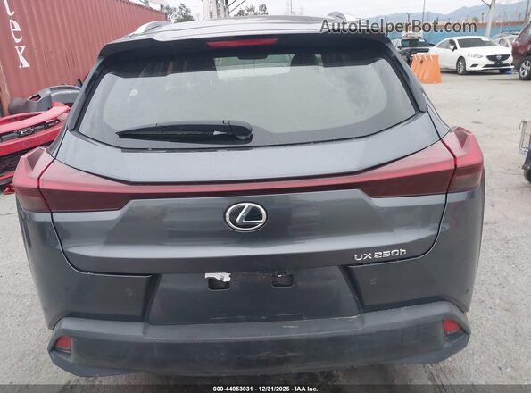 JTHX6JBH0R2174723 2024 LEXUS UX 250H Gray 