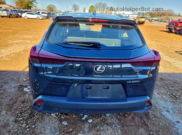 JTHX6JBHXR2193117 2024 LEXUS UX Черный Вид сзади