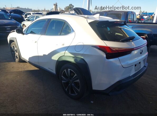 JTHX9JBH1M2043915 2021 LEXUS UX 250H White Հետևի ձախ