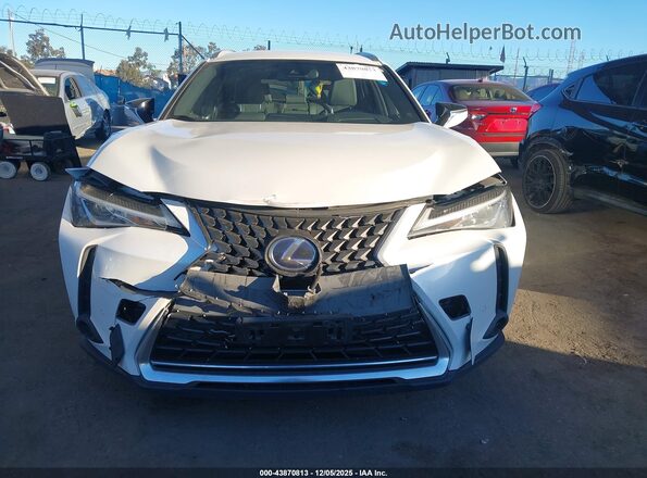 JTHX9JBH1M2043915 2021 LEXUS UX 250H White Դիմացի տեսք