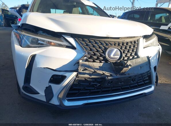 JTHX9JBH1M2043915 2021 LEXUS UX 250H White 