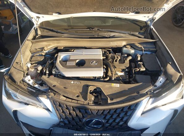 JTHX9JBH1M2043915 2021 LEXUS UX 250H White Հետևի տեսք
