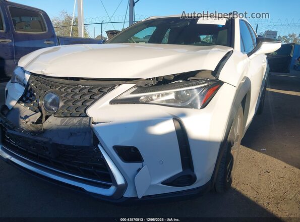 JTHX9JBH1M2043915 2021 LEXUS UX 250H White 