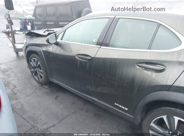JTHX9JBH1N2059680 2022 LEXUS UX 250H Green Սալոնի 360 աստիճան տեսք