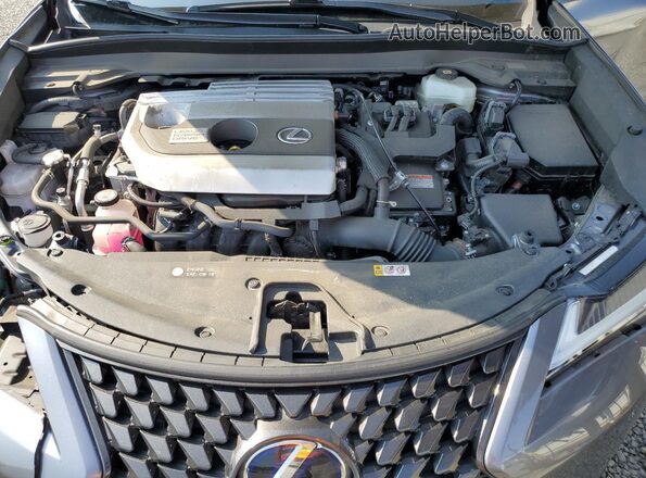 JTHX9JBH3M2042166 2021 LEXUS UX Gray 