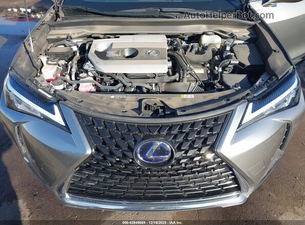 JTHX9JBH4M2042337 2021 LEXUS UX 250H Silver Vista trasera