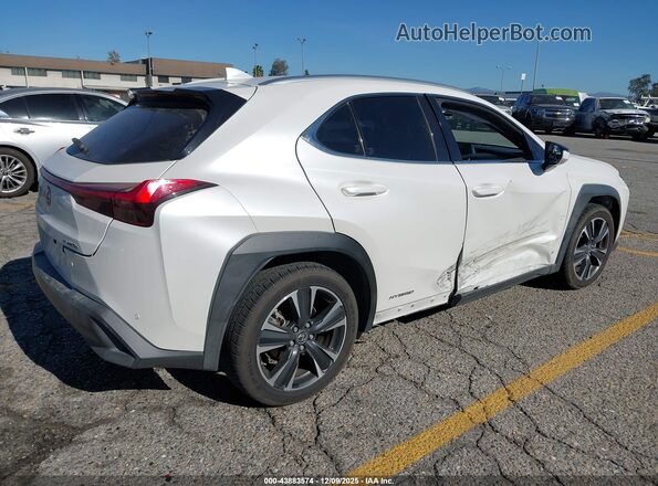 JTHX9JBH8M2042728 2021 LEXUS UX 250H White Trasero derecho