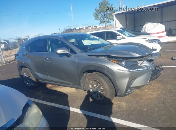 JTJAARBZ3L2177990 2020 LEXUS NX 300 Gray 
