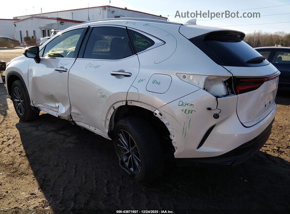 JTJADCAZ4R2008446 2024 LEXUS NX 250 White Trasero izquierdo